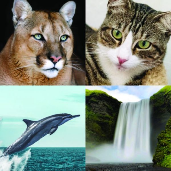 HEALING-THROUGH-SOUND-THER-700x630